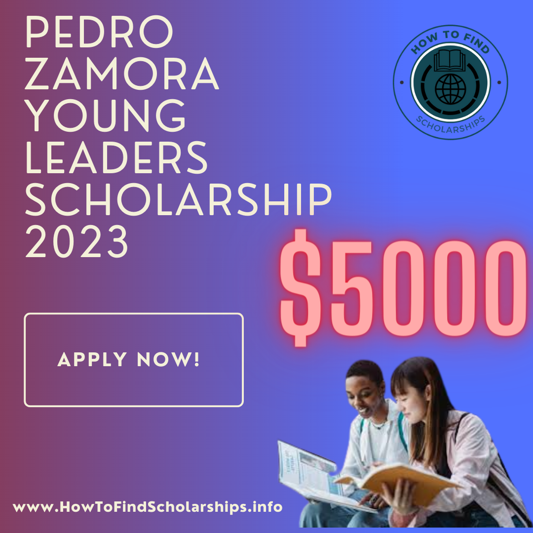 Pedro Zamora Young Leaders Scholarship 2023 How To Find Scholarships