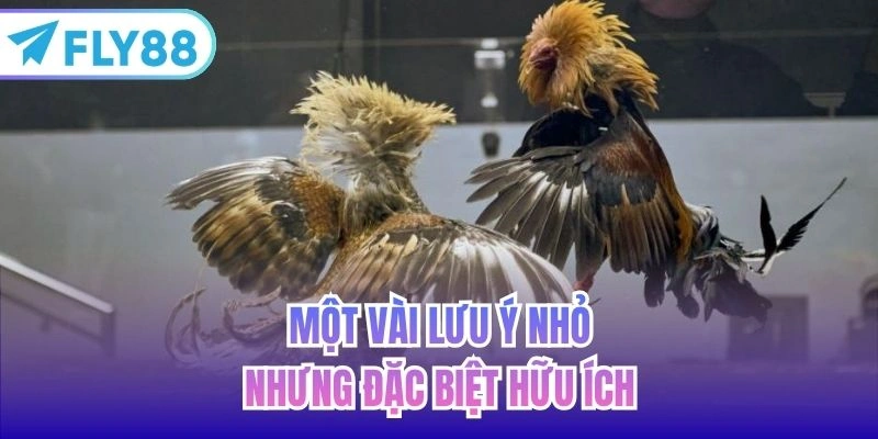 Một vài lưu ý nhỏ nhưng đặc biệt hữu ích